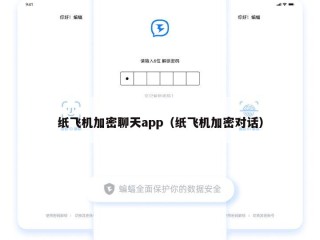 纸飞机加密聊天app（纸飞机加密对话）