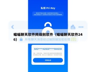 蝙蝠聊天软件同级别软件（蝙蝠聊天软件246）