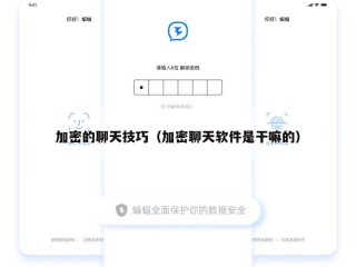 加密的聊天技巧（加密聊天软件是干嘛的）