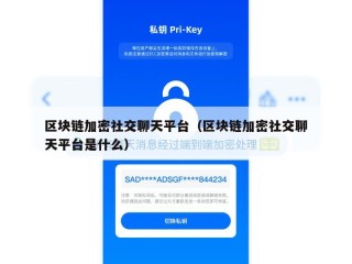 区块链加密社交聊天平台（区块链加密社交聊天平台是什么）