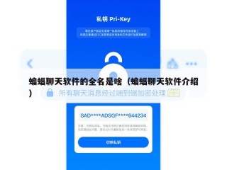 蝙蝠聊天软件的全名是啥（蝙蝠聊天软件介绍）