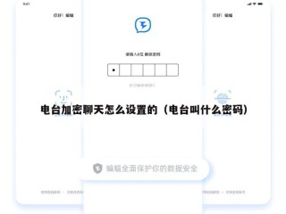 电台加密聊天怎么设置的（电台叫什么密码）