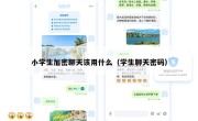 小学生加密聊天该用什么（学生聊天密码）