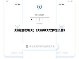 天籁(加密聊天)（天籁聊天软件怎么样）
