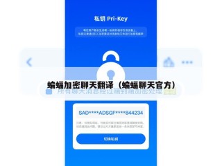 蝙蝠加密聊天翻译（蝙蝠聊天官方）