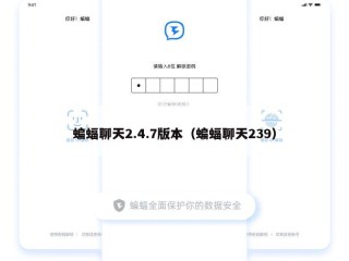 蝙蝠聊天2.4.7版本（蝙蝠聊天239）