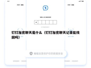 钉钉加密聊天是什么（钉钉加密聊天记录能找回吗）