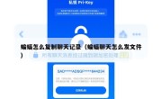 蝙蝠怎么复制聊天记录（蝙蝠聊天怎么发文件）