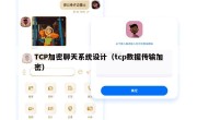 TCP加密聊天系统设计（tcp数据传输加密）