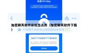 加密聊天软件彩虹怎么弄（加密聊天软件下载）