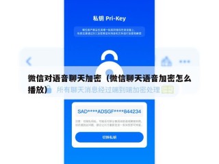 微信对语音聊天加密（微信聊天语音加密怎么播放）