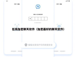 在线加密聊天软件（加密最好的聊天软件）