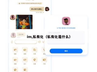 im,私有化（私有化是什么）
