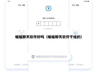 蝙蝠聊天软件好吗（蝙蝠聊天软件干啥的）