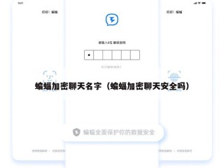 蝙蝠加密聊天名字（蝙蝠加密聊天安全吗）