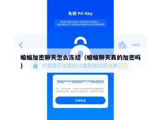 蝙蝠加密聊天怎么冻结（蝙蝠聊天真的加密吗）
