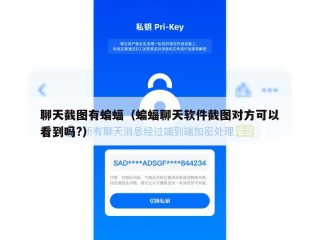 聊天截图有蝙蝠（蝙蝠聊天软件截图对方可以看到吗?）