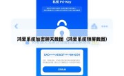 鸿蒙系统加密聊天截图（鸿蒙系统锁屏截图）