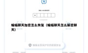 蝙蝠聊天加密怎么恢复（蝙蝠聊天怎么解密聊天）