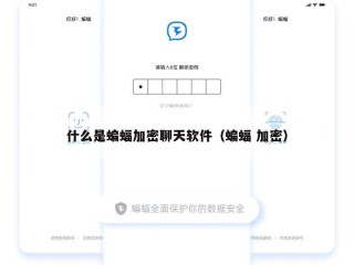 什么是蝙蝠加密聊天软件（蝙蝠 加密）