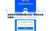 加密聊天a会议视频通话中pp（视频会议保密要求）