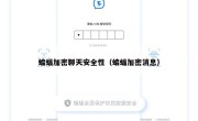 蝙蝠加密聊天安全性（蝙蝠加密消息）