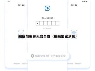 蝙蝠加密聊天安全性（蝙蝠加密消息）