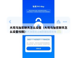 大司马加密聊天怎么设置（大司马加密聊天怎么设置权限）