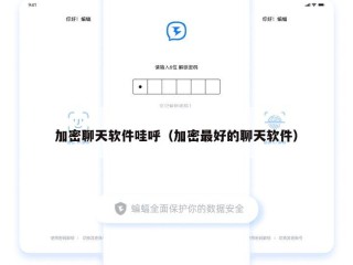 加密聊天软件哇呼（加密最好的聊天软件）