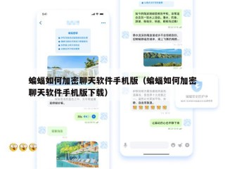 蝙蝠如何加密聊天软件手机版（蝙蝠如何加密聊天软件手机版下载）