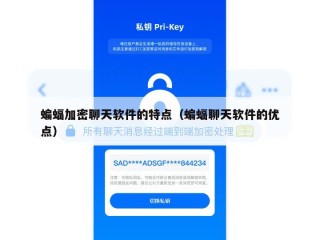 蝙蝠加密聊天软件的特点（蝙蝠聊天软件的优点）