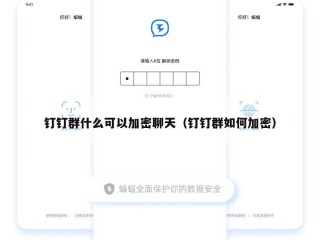 钉钉群什么可以加密聊天（钉钉群如何加密）