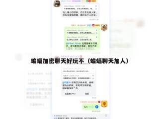 蝙蝠加密聊天好玩不（蝙蝠聊天加人）