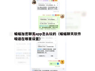 蝙蝠加密聊天app怎么玩的（蝙蝠聊天软件暗语在哪里设置）