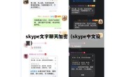 skype文字聊天加密（skype中文设置）