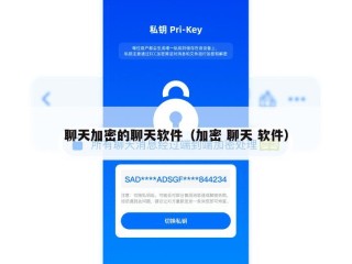 聊天加密的聊天软件（加密 聊天 软件）