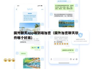国外聊天app端到端加密（国外加密聊天软件哪个好用）