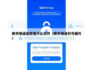 聊天暗语加密是什么软件（聊天暗语符号图片）
