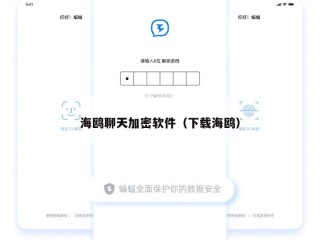 海鸥聊天加密软件（下载海鸥）