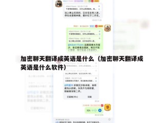 加密聊天翻译成英语是什么（加密聊天翻译成英语是什么软件）