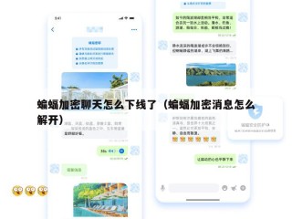 蝙蝠加密聊天怎么下线了（蝙蝠加密消息怎么解开）