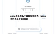 oppo手机怎么下蝙蝠加密聊天（oppo手机怎么下载蝙蝠）