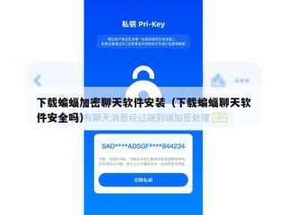 下载蝙蝠加密聊天软件安装（下载蝙蝠聊天软件安全吗）