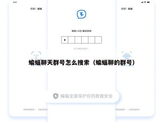 蝙蝠聊天群号怎么搜索（蝙蝠聊的群号）