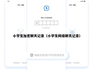 小学生加密聊天记录（小学生网络聊天记录）