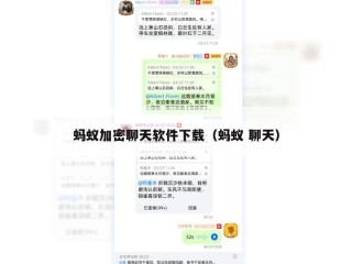 蚂蚁加密聊天软件下载（蚂蚁 聊天）