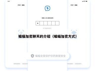 蝙蝠加密聊天的介绍（蝙蝠加密方式）