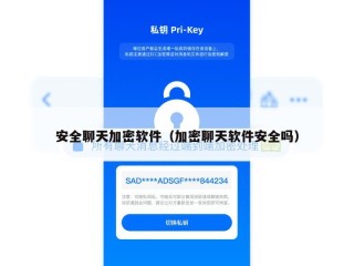 安全聊天加密软件（加密聊天软件安全吗）