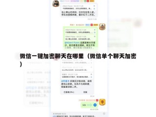 微信一键加密聊天在哪里（微信单个聊天加密）