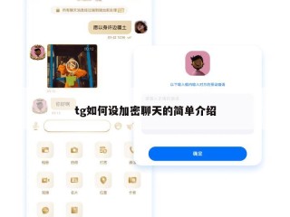tg如何设加密聊天的简单介绍
